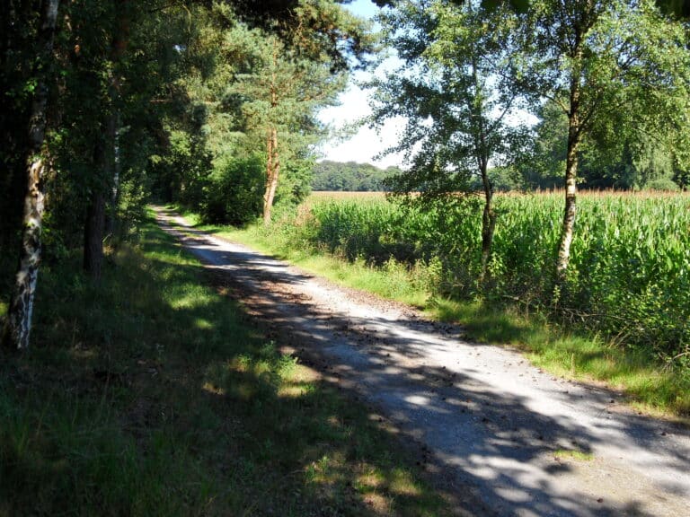 Radweg durchs Münsterland
